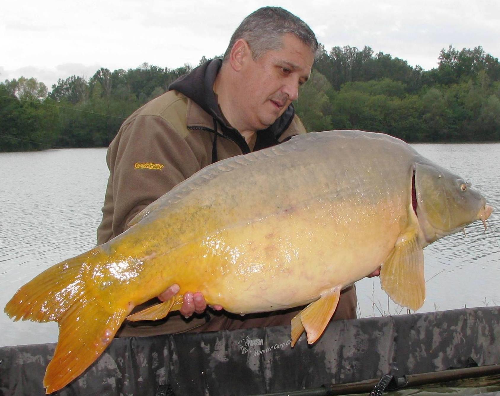 Balkan lake 25 - 31 octombrie 2014 - img1867.JPG